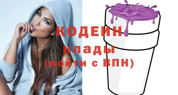 стаф Осинники