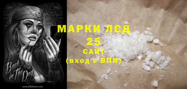 стаф Осинники